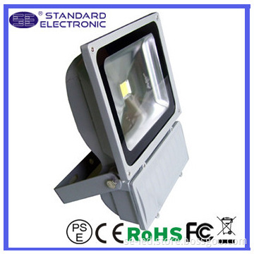 100W Pure White Bridgelux 5 years warranty led flood light bulbs
